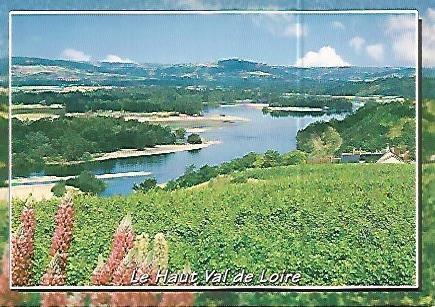 POSTAL 17951: LE VAL DE LOIRE