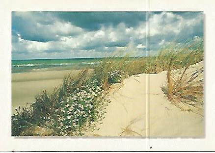 POSTAL 17955: DUNES DE FLANDRE