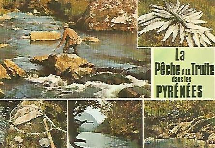 POSTAL 17993: Pesca de trucha en los Pirineos