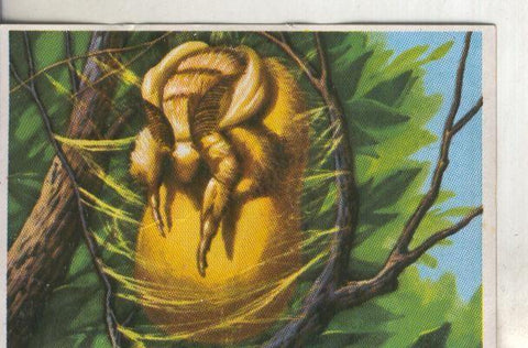 Cromos: Historia Natural numero 270