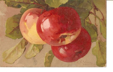 Postal 023115 : Pintura. Manzanas