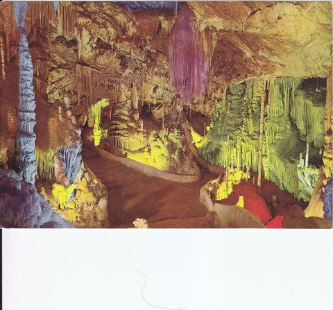 Postal 60535. Cuevas de Campanet sala de la palmera (Mallorca)