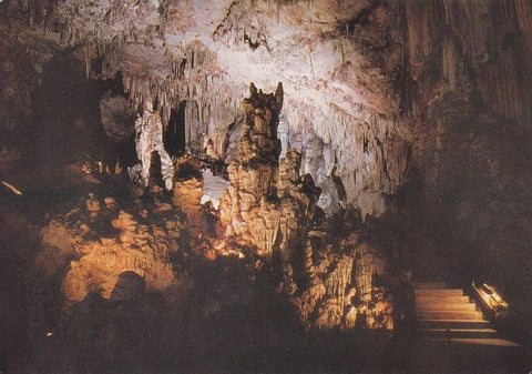Postal 60540.  Sala de fantasmas. Cuevas de Nerja.  Malaga