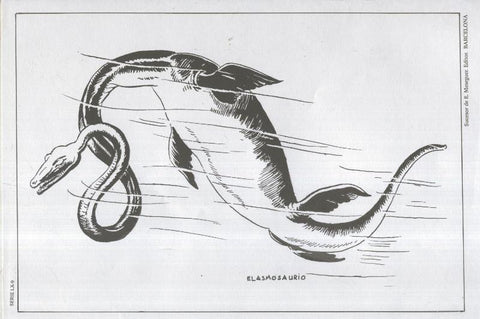 Emilio Freixas serie 60 lamina 09: Elasmosaurio