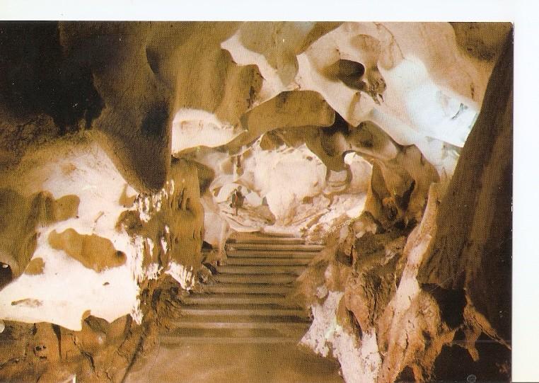 Postal 049805 : Cueva del Tesoro (Malaga). Sala Noctiluca