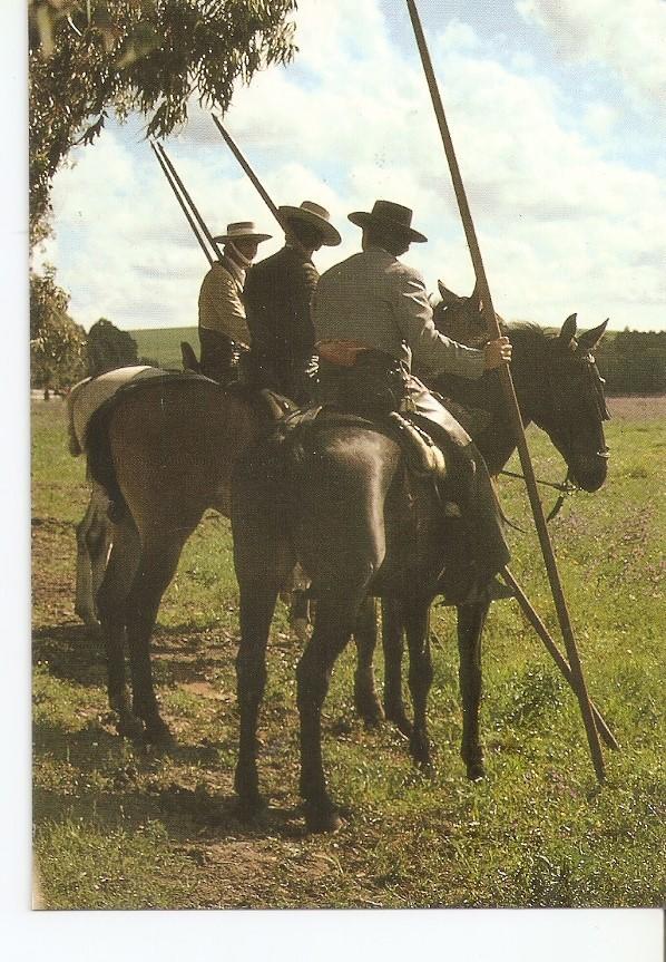 Postal 043424 : El caballo en Andalucia
