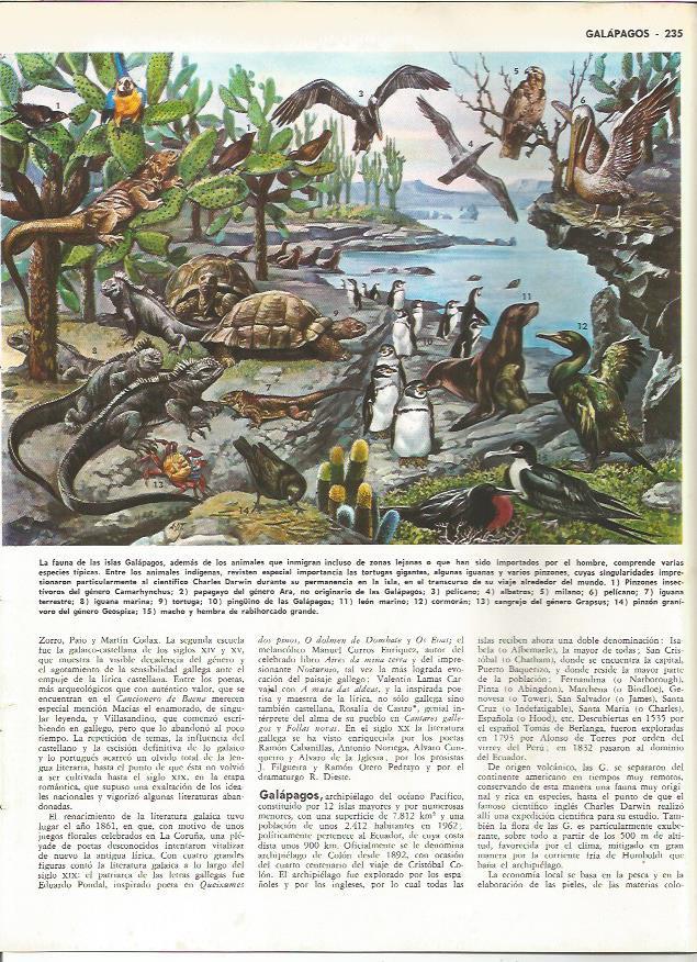 LAMINA MONITOR 0199: FAUNA DE LAS ISLAS GALAPAGOS