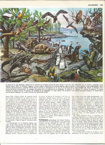 LAMINA MONITOR 0199: FAUNA DE LAS ISLAS GALAPAGOS