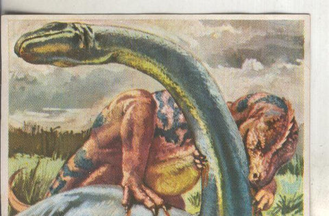 Cromos: Historia Natural numero 039
