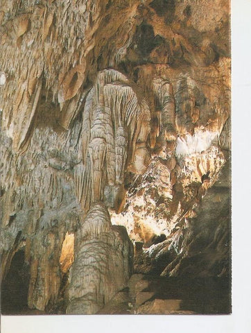 Postal 038914 : La Gruta de las Maravillas. Los Banquetes