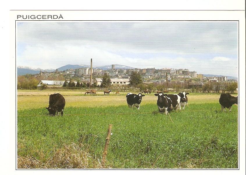 Postal 039650 : Puigcerda (Girona). Vista general