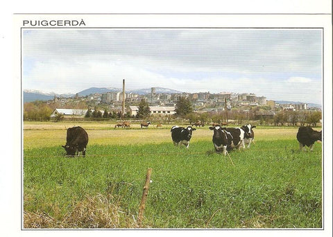 Postal 039650 : Puigcerda (Girona). Vista general