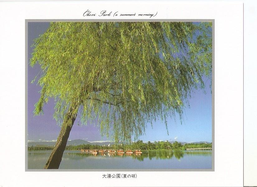 Postal 043824 : Ohori Park (a summers morning)