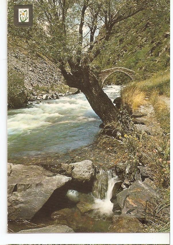 Postal 046062 : Arbol muy inclinado situado junto a un rio