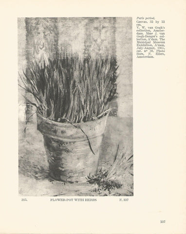 LAMINA 1309: VAN GOGH. Flower-pot with Herbs