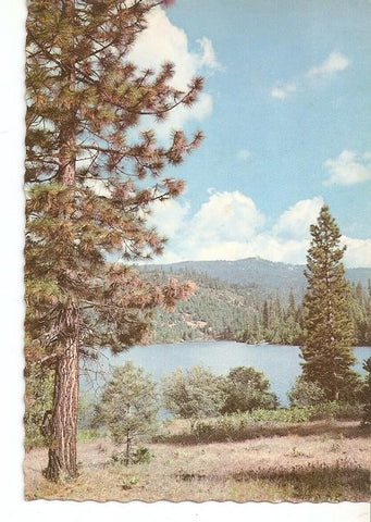 Postal 049472 : Paisaje