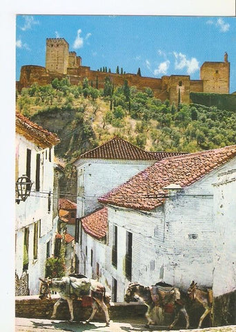 Postal 049923 : Granada. Calle de Zafra y Alhambra