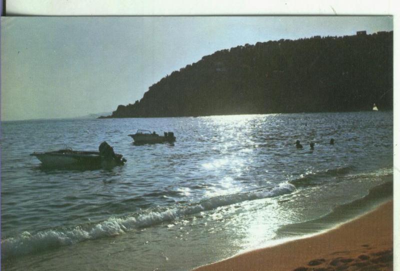 Postal 1124 :  Costa Brava-LLoret de Mar