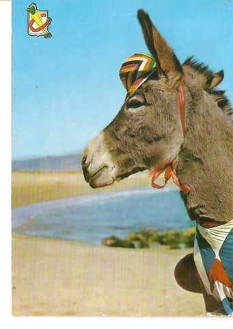 Postal 029888 : ¡Que chulo soy!