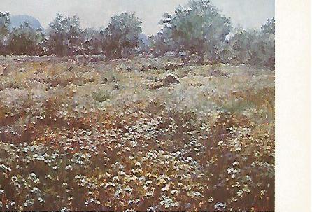 POSTAL 53091: FRANCESC GAITA. Paisatge