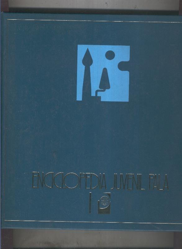 Enciclopedia Juvenil Pala volumen 06: Maestros de la pintura