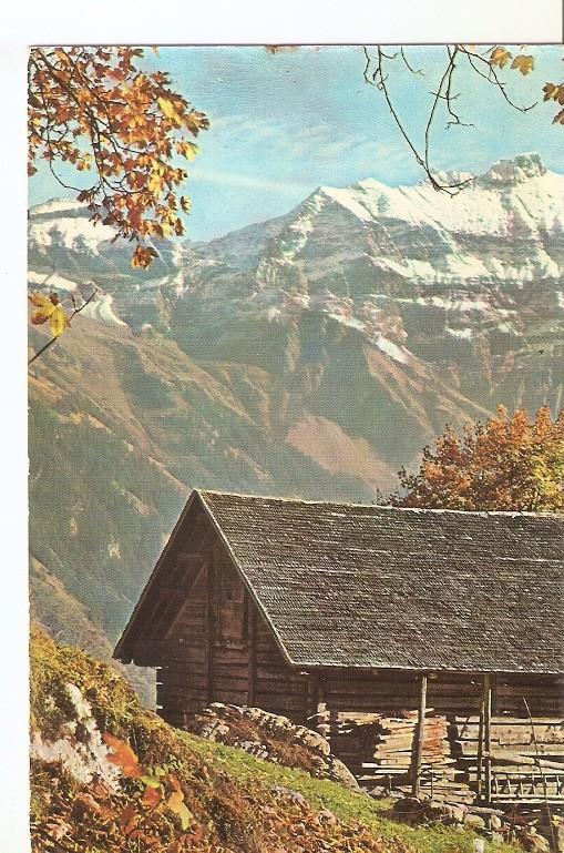 Postal 049514 : Cabaña en la montaña