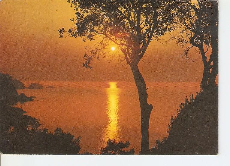 Postal 050291 : Puesta de sol 