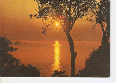 Postal 050291 : Puesta de sol 