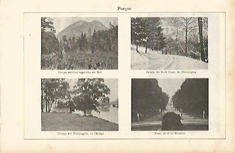LAMINA ESPASA 2304: Parques naturales