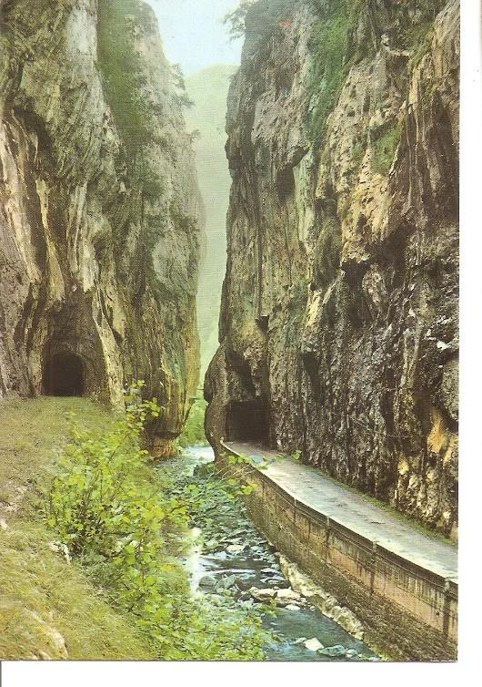 Postal 048335 : Proaza (Asturias). Peñasjuntas