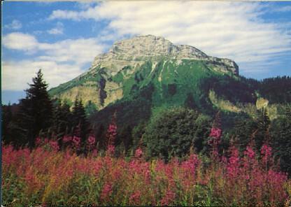 POSTAL 61121: La dent de Crolles