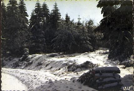 POSTAL 61128: Paysage de L est