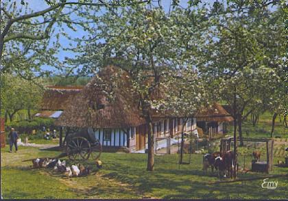 POSTAL 61135: La Normandie pittoresque