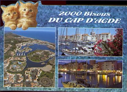 POSTAL 61163: 2000 Bisous du Cap d Agde