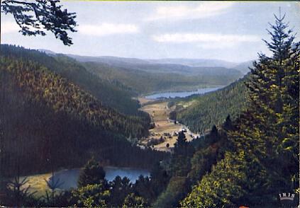 POSTAL 61168: Les Hautes-Vosges