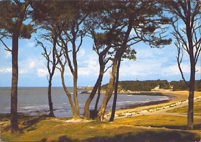 POSTAL 61206: Playa Saint Palais sur mer
