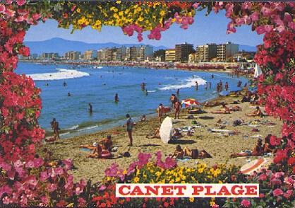 POSTAL 61208: Camet Plage borde de flores