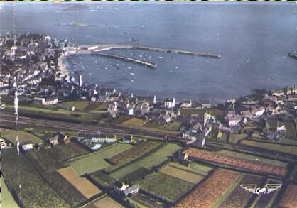 POSTAL 61223: Roscoff le port vista general