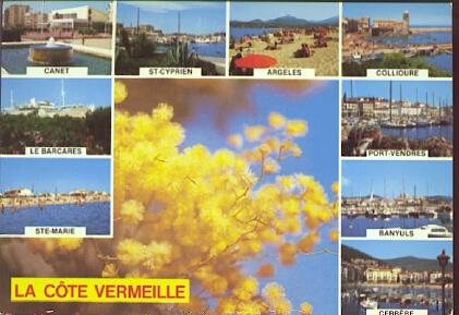 POSTAL 61226: La cote vermeille mosaico