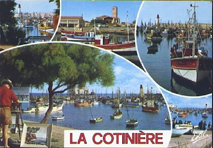 POSTAL 61263: La cotiniere mosaico