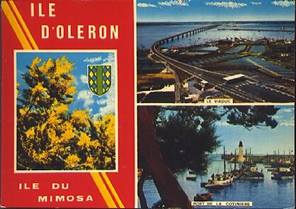 POSTAL 61271: Ile d Oleron Ile du Mimosa