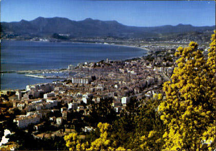 POSTAL 61278: Cannes panorama