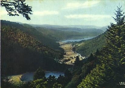 POSTAL 61283: Bosque y lagos