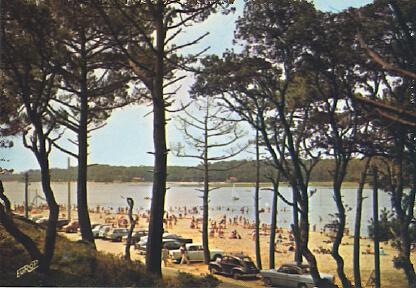 POSTAL 61291: Playa de un lago tras bosque