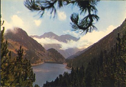 POSTAL 61294: Lago en valle