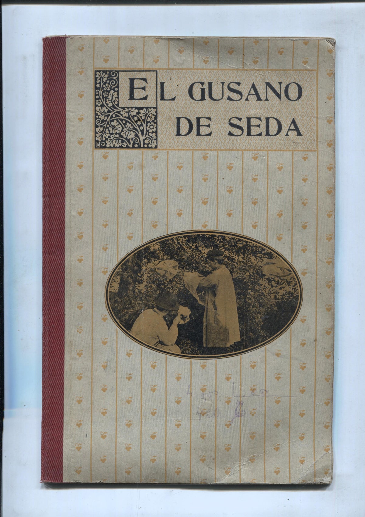 Biblioteca de Lecturas Ampliadas: El gusano de seda