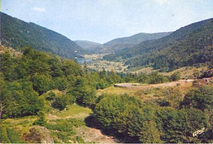 POSTAL 61340: Valle con lago