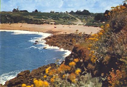 POSTAL 61348: Playa con flores en primer plano