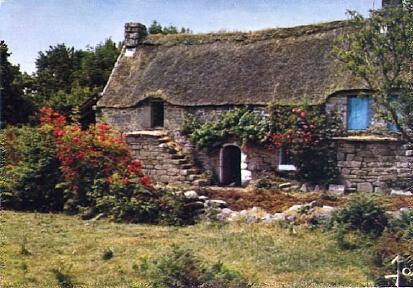 POSTAL 61411: Casa de piedra con flores