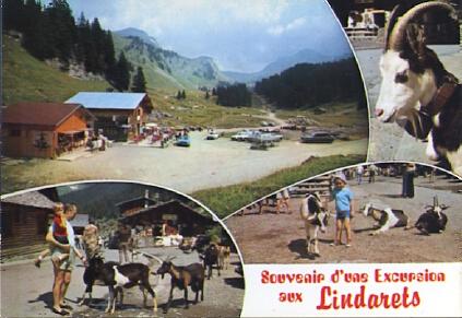 POSTAL 61420: Souvenir d une excursion aux Lindarets